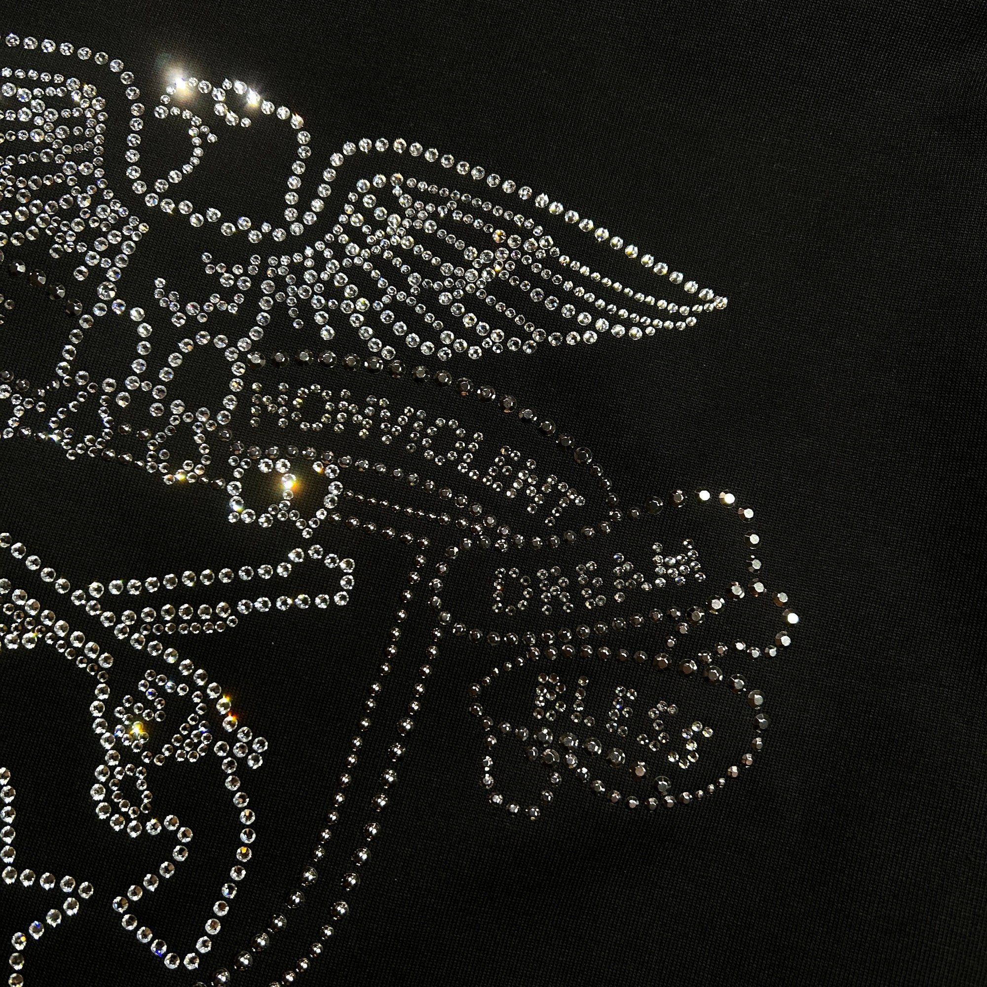 将图片加载到图库查看器，EAGLE CRYSTAL L/S T-SHIRT / BLACK