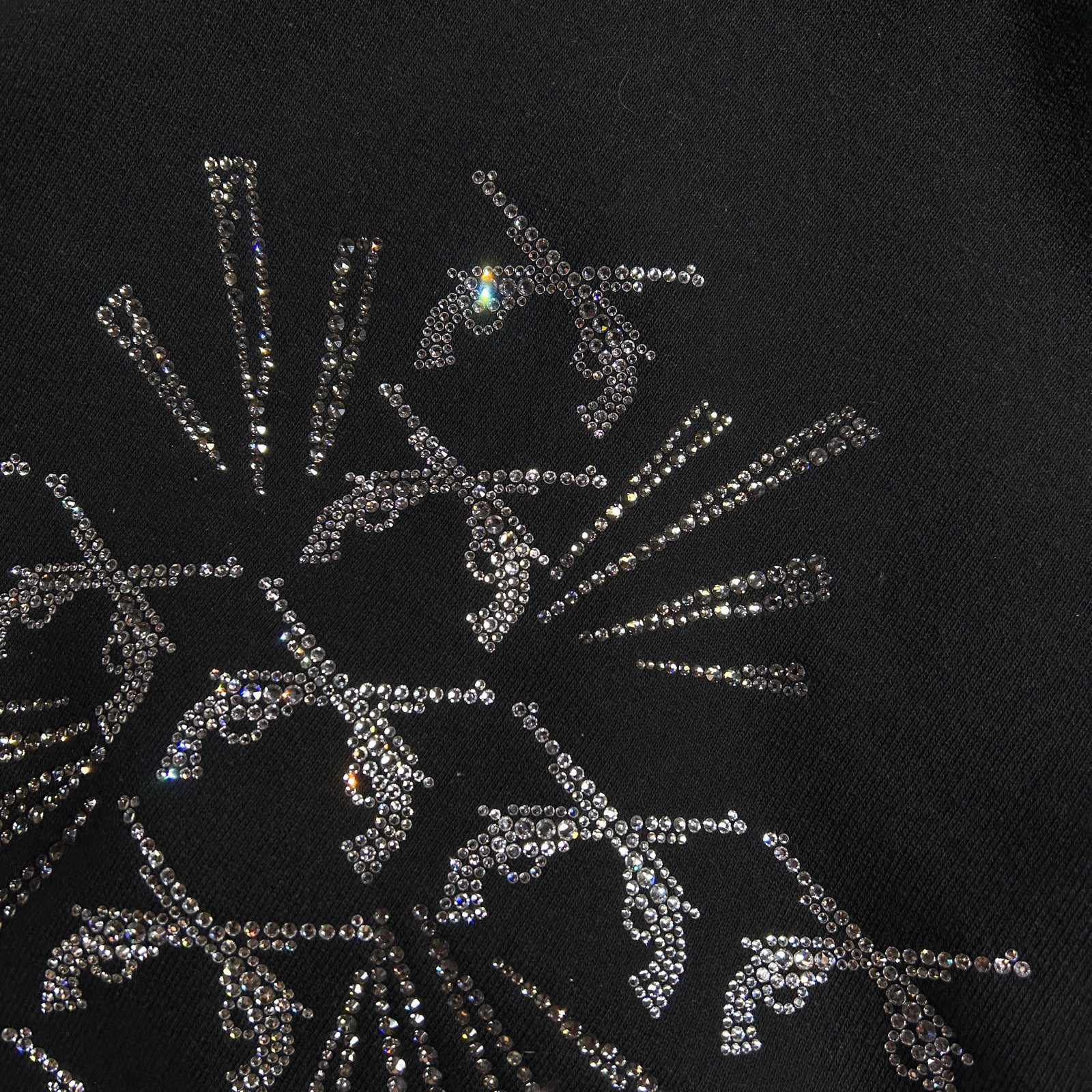 将图片加载到图库查看器，CROSS SWAROVSKI CRYSTAL HOODIE / BLACK